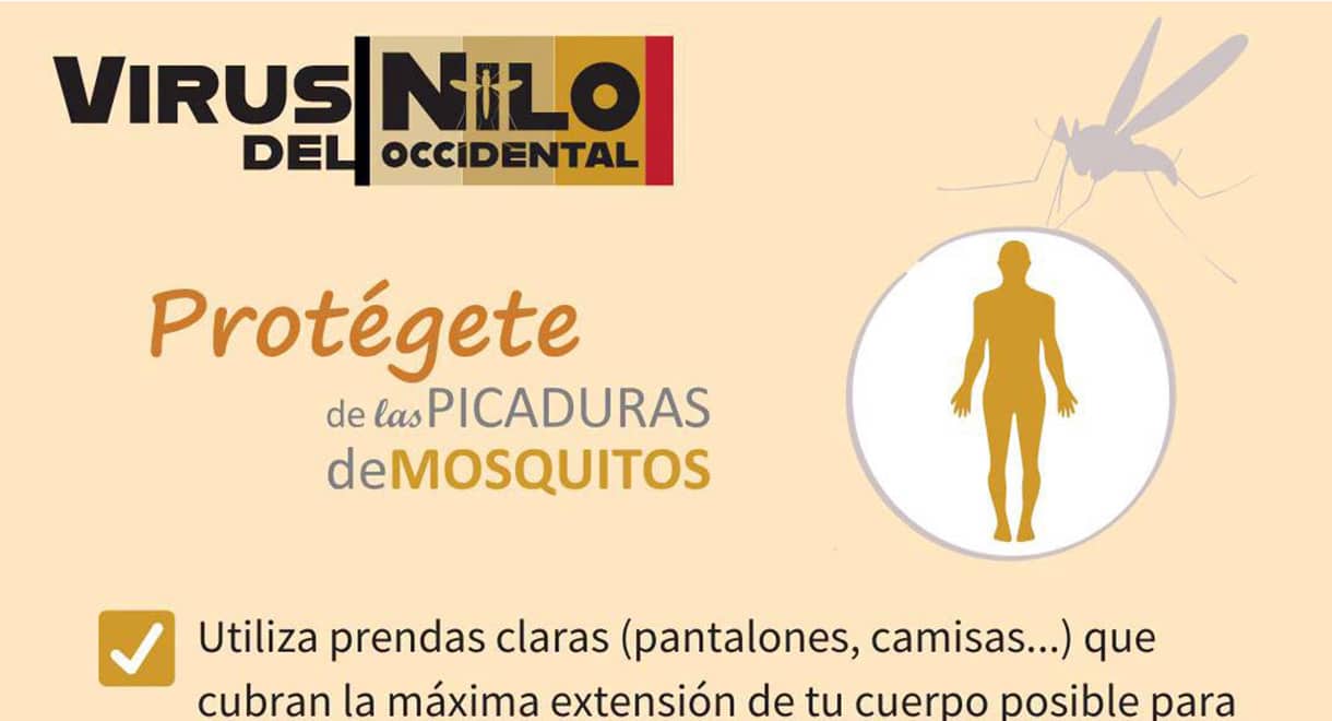 Imagen de la noticia: El Ayuntamiento reúne en su web recomendaciones para prevenir el virus del Nilo Occidental (Actualidad)
