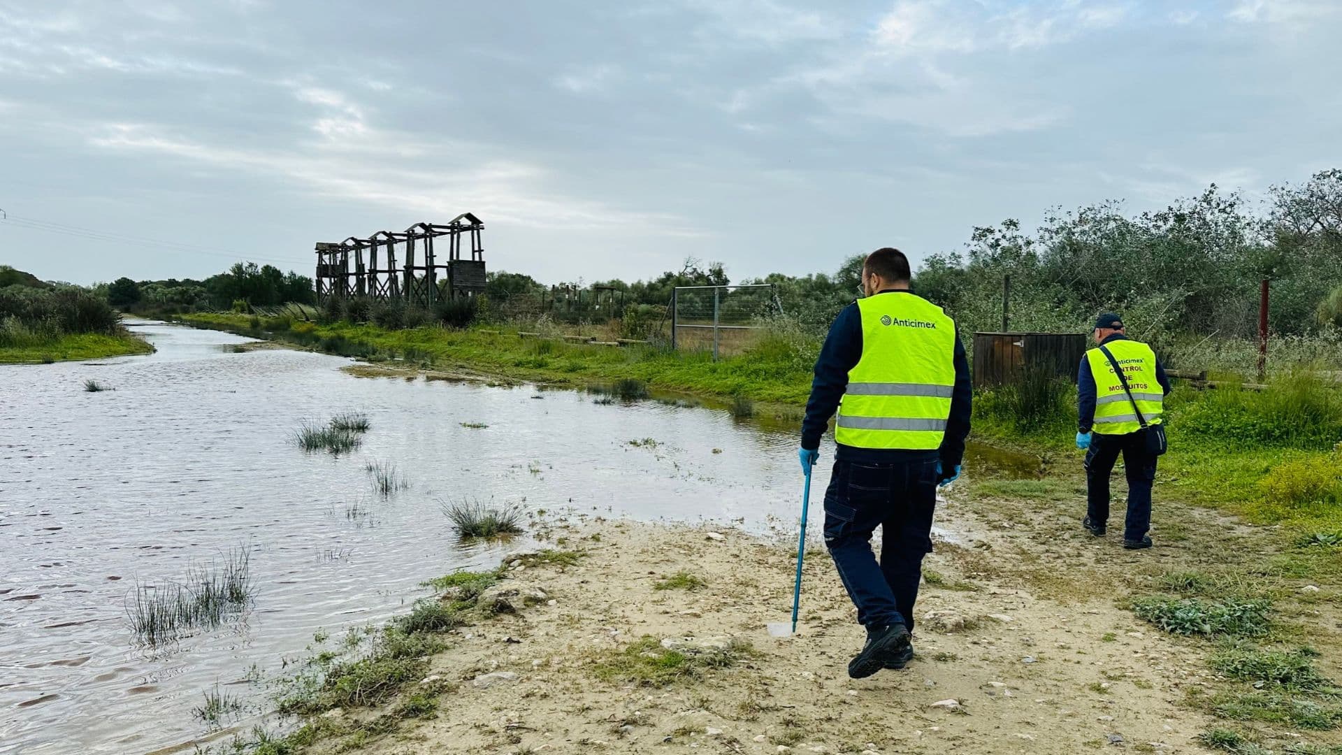 Fin a la alerta por el virus del Nilo en El Puerto, pero se mantiene el nivel de riesgo alto