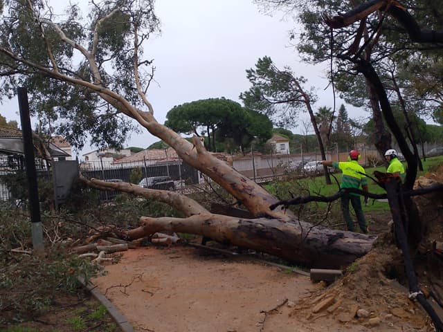 El Ayuntamiento activa la primera fase del Plan de Adecuación de Espacios Públicos tras los temporales