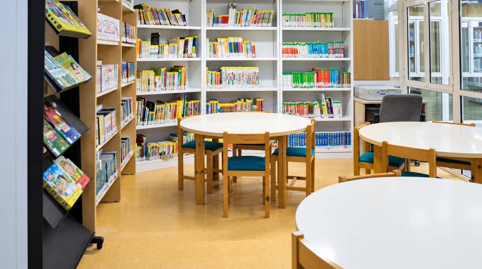 Imagen de la noticia: La Biblioteca Rafael Esteban Poullet amplía su catálogo juvenil con 150 nuevos libros y populares colecciones (Cultura)