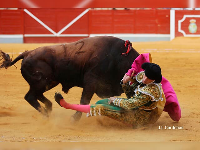 Gonzalo Capdevila sufre una triple cornada de 10 cm en la ingle en Villaseca de la Sagra