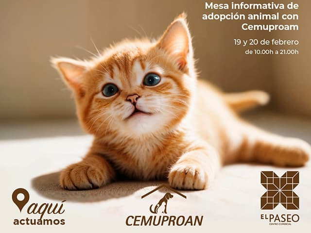 El Cemuproan pone en marcha los días 19 y 20 unas Jornadas de Adopción de Gatitos en el Centro Comercial El Paseo