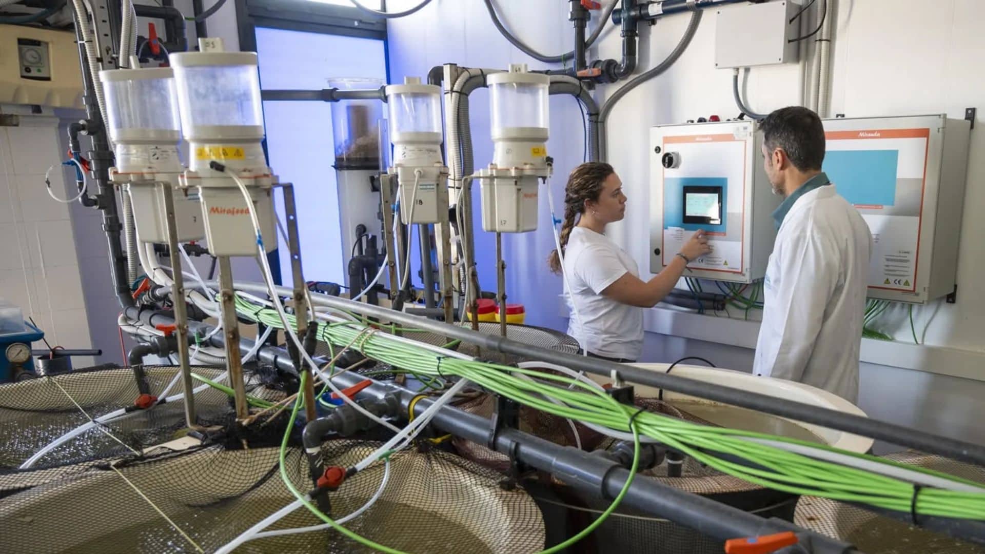 Imagen de la noticia: CTAQUA de El Puerto recibe 545.000 euros de la Junta de Andalucía para impulsar la innovación acuícola (Innovación)