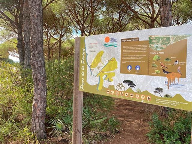 El Puerto de Santa María se suma a la reforestación con la iniciativa ‘Un niñ@, un árbol’