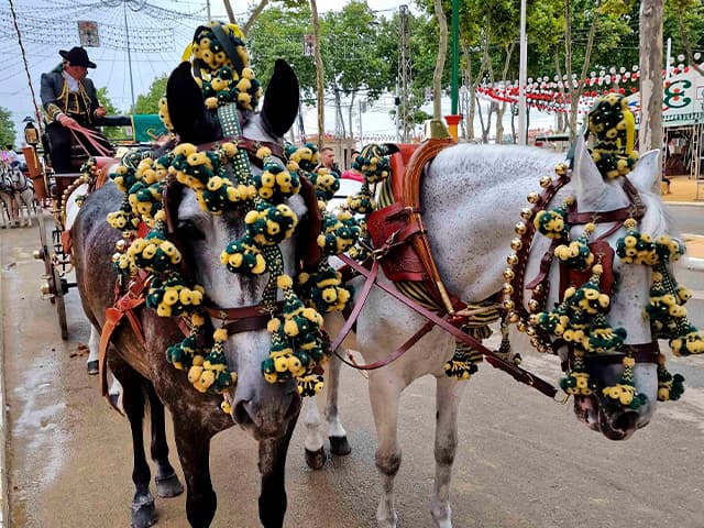 Abierto el plazo de solicitud de enganches para el paseo de caballos de la Feria de Primavera 2025