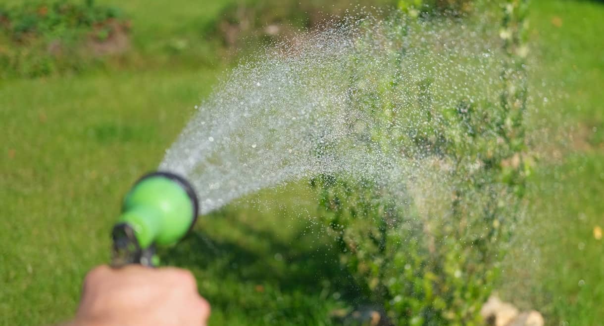 Imagen de la noticia: Apemsa invita a un riego responsable de jardines para contribuir al ahorro de agua este verano (Agua)