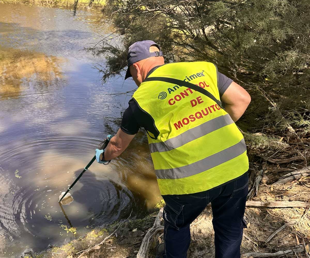 Imagen de la noticia: El Puerto refuerza el control preventivo de mosquitos en Campiña-Serrano (Medio Ambiente)