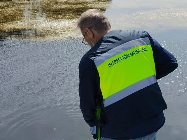 Medio Ambiente recuerda las medidas para prevenir la proliferación de mosquitos en El Puerto
