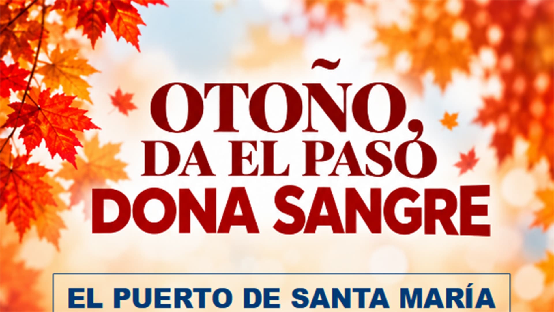 El Centro de Salud Pinillo Chico acogerá una nueva colecta de sangre el sábado 7 de noviembre