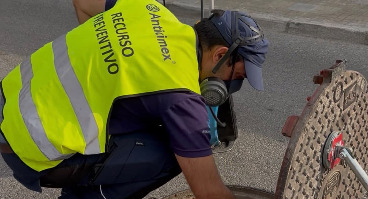 Ampliadas las actuaciones de control de plagas en los distritos de El Puerto