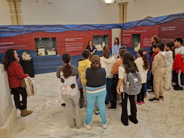 Alumnos de 6º de Primaria descubren la historia de El Puerto con el Programa de Visitas Didácticas a la nueva exposición en El Hospitalito