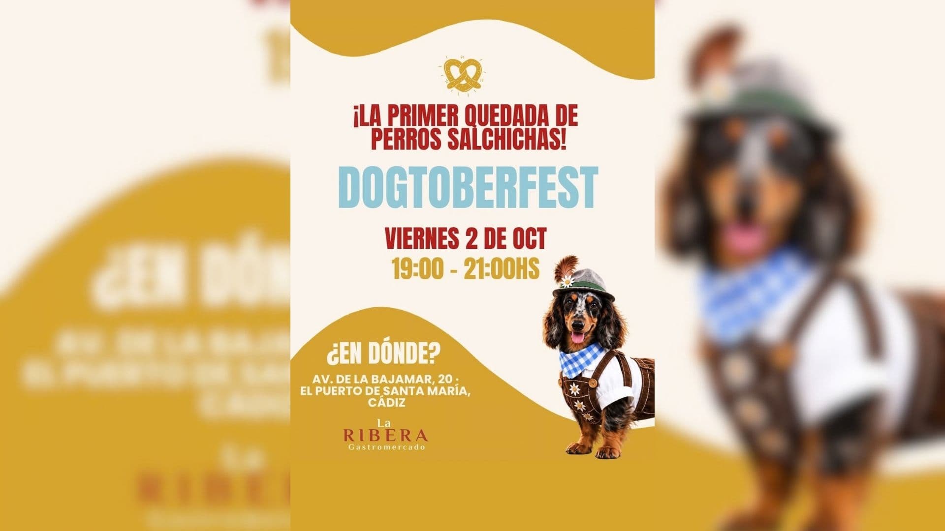 Los perros salchicha toman "La Ribera" con su primera gran quedada en El Puerto